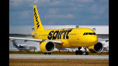 'Buy Spirit Airlines' website crashes as everyone wants in: 'Movement overwhelmed our servers'