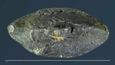 This ancient bullet carried a secret 2,100-year-old Greek word that shocked experts worldwide revealing ‘sarcastic’ war message
