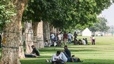 Trees cut extra city heat by half, but not quite where most needed