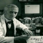 In 1928, Alexander Fleming noticed a strange mould on a petri dish, and this observation launched the antibiotic era |