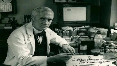 In 1928, Alexander Fleming noticed a strange mould on a petri dish, and this observation launched the antibiotic era |