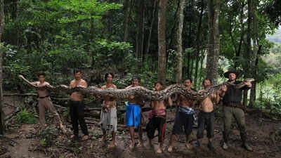World’s longest wild snake in Indonesia: The 23-foot ‘Baroness’ that stunned scientists and raised conservation concerns