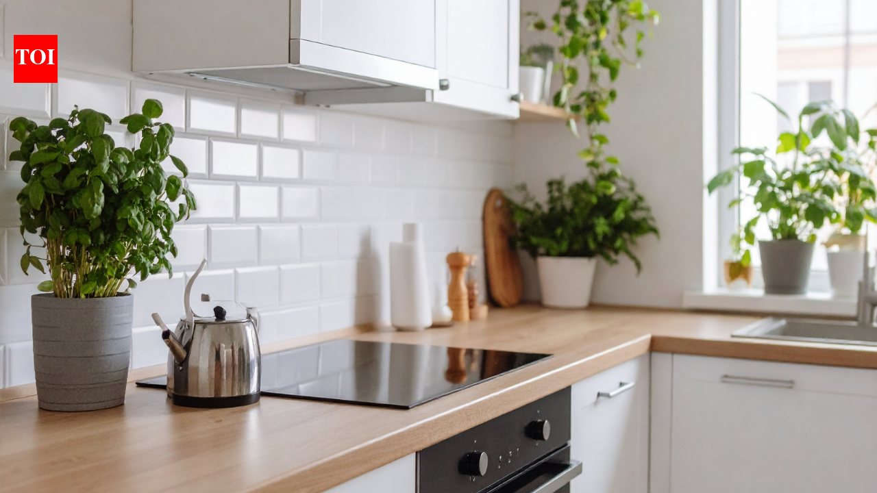 7 best low-maintenance plants for kitchen counters and windowsills