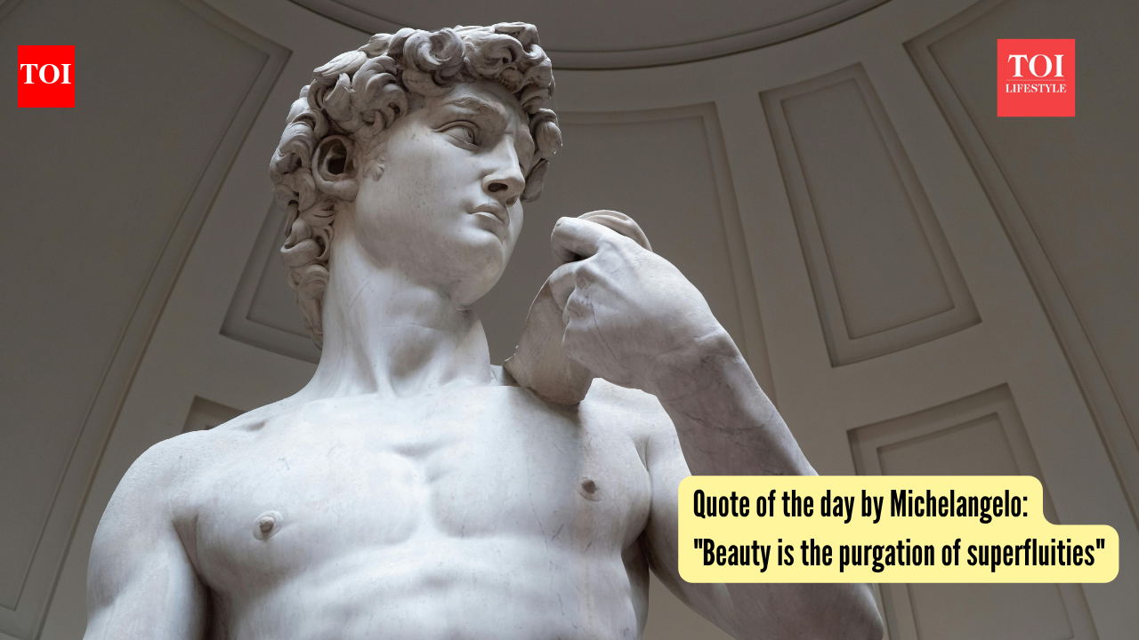 Quote of the day by Michelangelo: "Beauty is the purgation of superfluities"