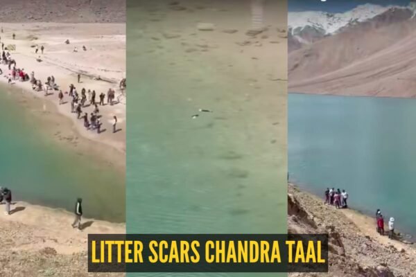 Chandra Taal: “Zabardasti ganda karne ki aadat hai logon ki…"; tourists turn Spiti’s Ramsar-listed Chandra Taal into a littering ground