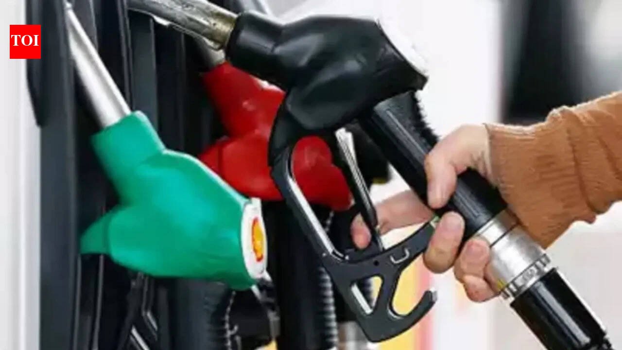 Government may hold off on higher ethanol mandate