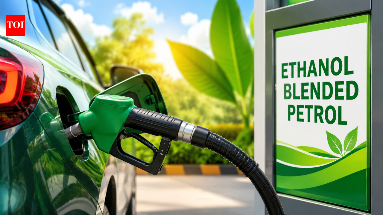 India slashes excise duty on ethanol-blended petrol: Key details