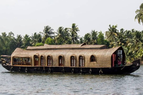 8 Kerala hill stations that are perfect summer escape: From Munnar to Ranipuram |