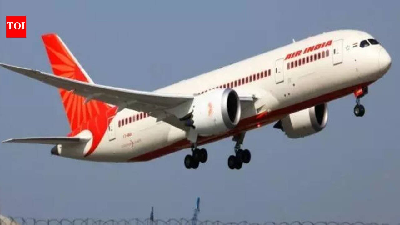 Tata Group tells Air India to focus on cutting losses