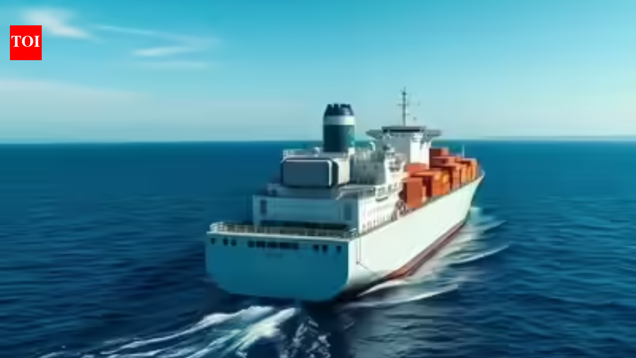 India restricts deployment of seafarers to conflict zones, Shipping authority issues fresh advisory