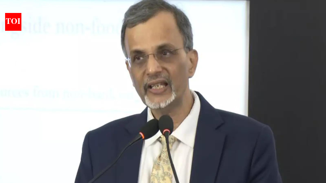 India does not use methodology changes to inflate growth numbers, CEA Nageswaran defends GDP data