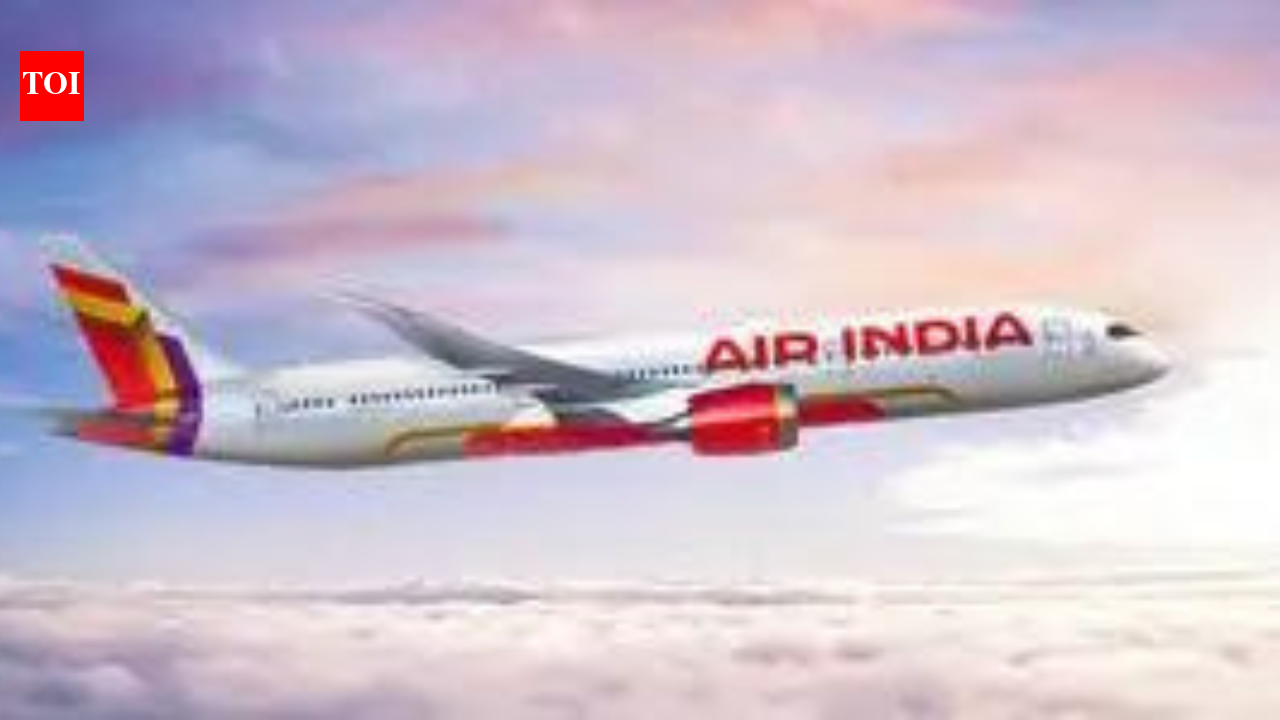 Air India launches 'basic fare' option without complimentary meals on select domestic flights