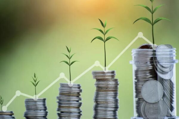 MFI portfolio shrinks 17% in FY24, shows signs of stabilization in Q4