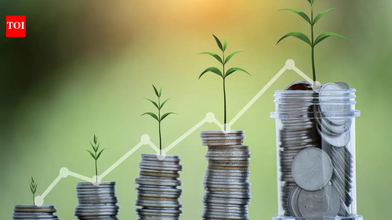 MFI portfolio shrinks 17% in FY24, shows signs of stabilization in Q4