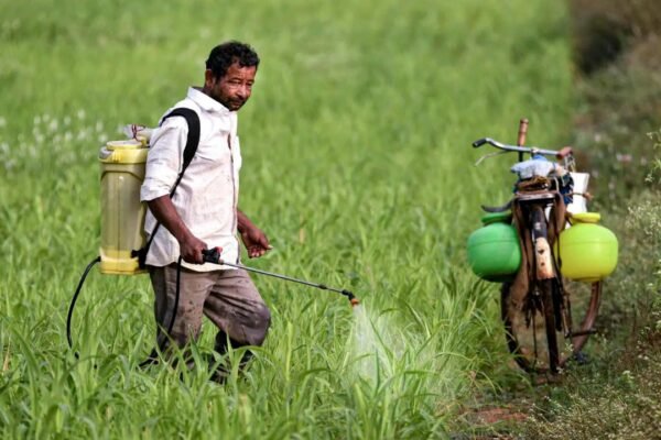 Fertilisers: 'It takes time to restart plants': Hormuz reopening may not ease fertiliser woes anytime soon, say industry executives
