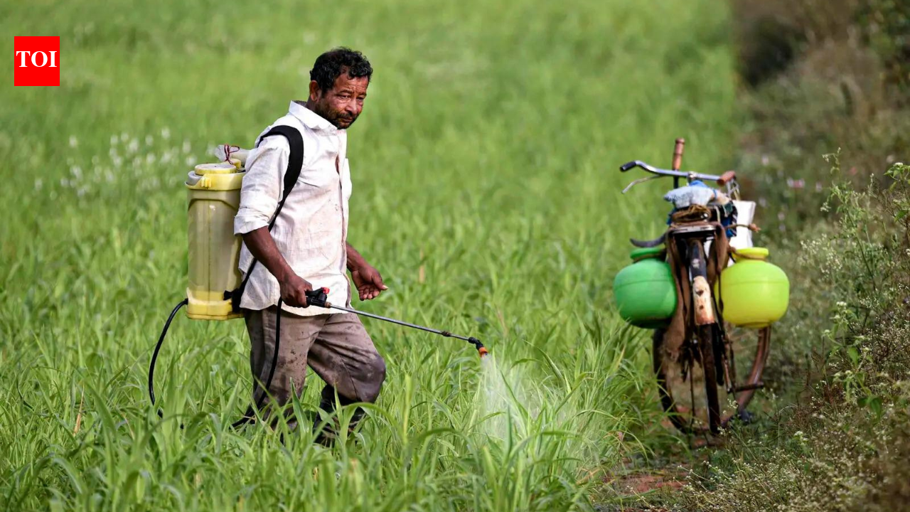 Fertilisers: 'It takes time to restart plants': Hormuz reopening may not ease fertiliser woes anytime soon, say industry executives