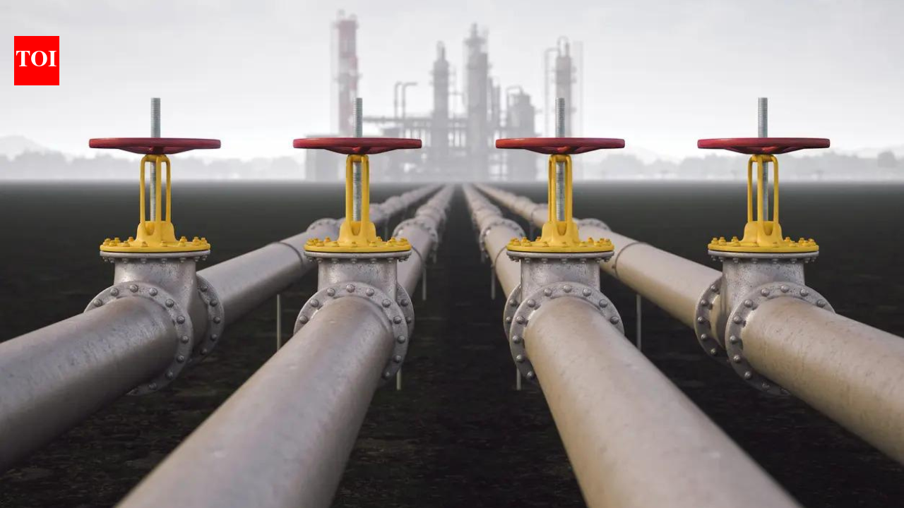 PNGRB asks oil, gas firms to strengthen compensation for accident victims