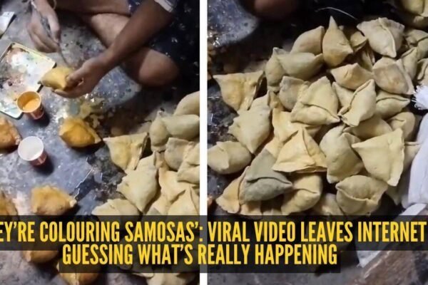 Viral Video Samosas: ‘They’re colouring samosas’: Viral video leaves internet guessing what’s really happening