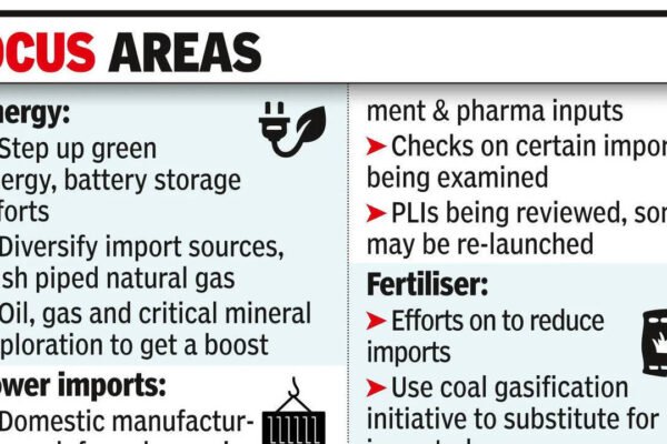 Govt starts wor﻿k on steps to increase domestic resilience