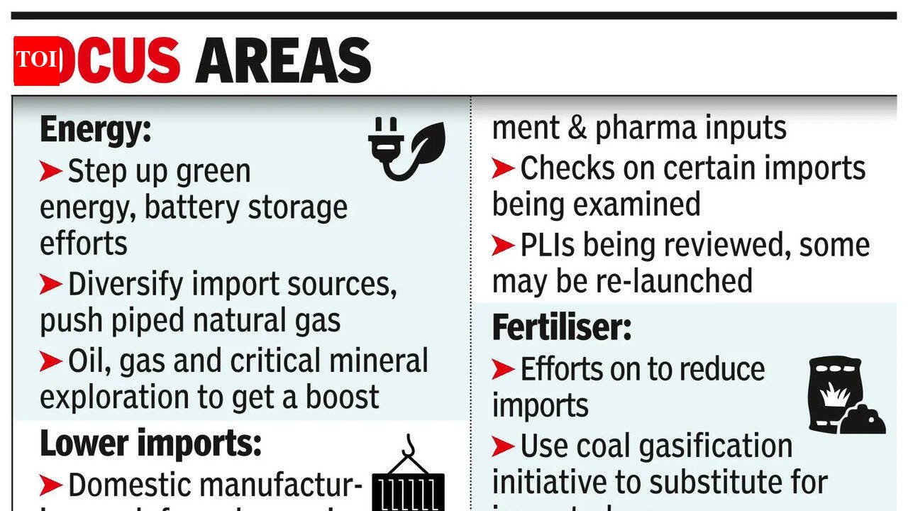 Govt starts wor﻿k on steps to increase domestic resilience