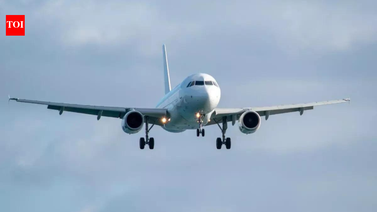 Airfares: Airfares could rise by up to 25% as jet fuel costs surge, says McKinsey