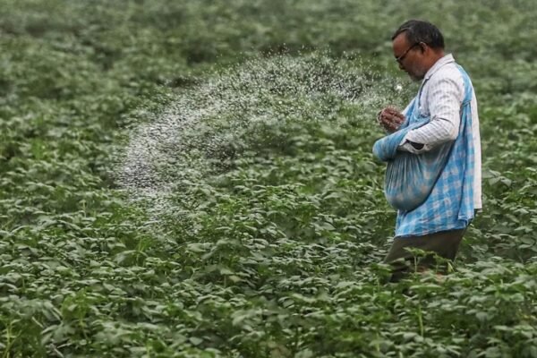 Green urea push: Centre plans 7.24 lakh MT green ammonia procurement to reduce fertiliser imports