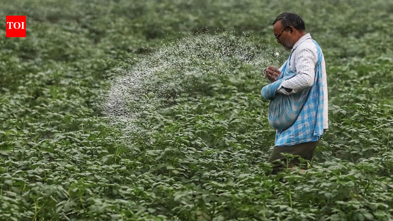 Green urea push: Centre plans 7.24 lakh MT green ammonia procurement to reduce fertiliser imports