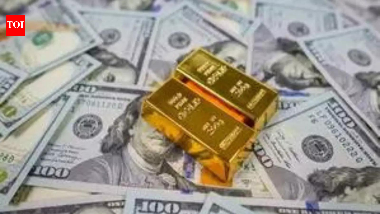 India's forex reserves rise to $672.59 billion after gold holdings jump