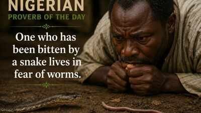 Nigerian proverb of the day: "One who has been bitten by a snake lives in fear of worms" and why old wounds make us fear harmless things | World News
