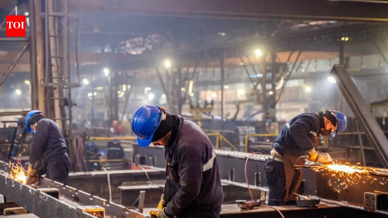 IIP data decoded: Manufacturing, electricity lift India's industrial growth to 5.1% in May