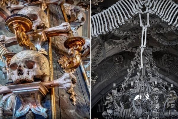 Sedlec Ossuary Church: This unique church in Europe is decorated with the bones of up to 70,000 people; here's how curious travellers can visit