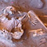 7,000-year-old mummy DNA reveals a lost human lineage hidden in the Sahara for 50,000 years |