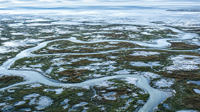 Arctic alarm: Earth's frozen carbon stores in the Arctic may stop absorbing CO2 and start releasing it by the 2050s |