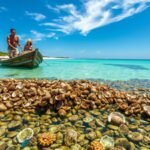 Australia recycled 150,000 wheelbarrows of oyster shells to rebuild a lost underwater ecosystem