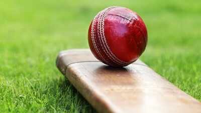 Double hat-trick! 9-year-old Rohan takes six wickets in an over, scripts rare feat | Cricket News