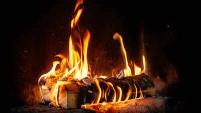 German proverb of the day: 'Crooked logs also make straight fires'