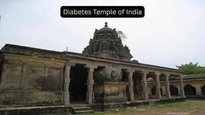 Karumbeswarar Temple: Inside ‘Diabetes Temple’: The ancient Tamil Nadu shrine where devotees believe ants carry away their illness