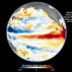 El Niño 2026: NASA satellites capture massive surge of warm water across the Pacific |