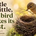 French proverb of the day: 'Little by little, the bird makes its nest' — a lesson on why slow, steady effort builds the strongest foundations
