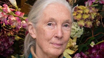 Quote of the day by Jane Goodall: “Change happens by listening and then starting a dialogue with the people who are doing something you don’t believe is right.” |