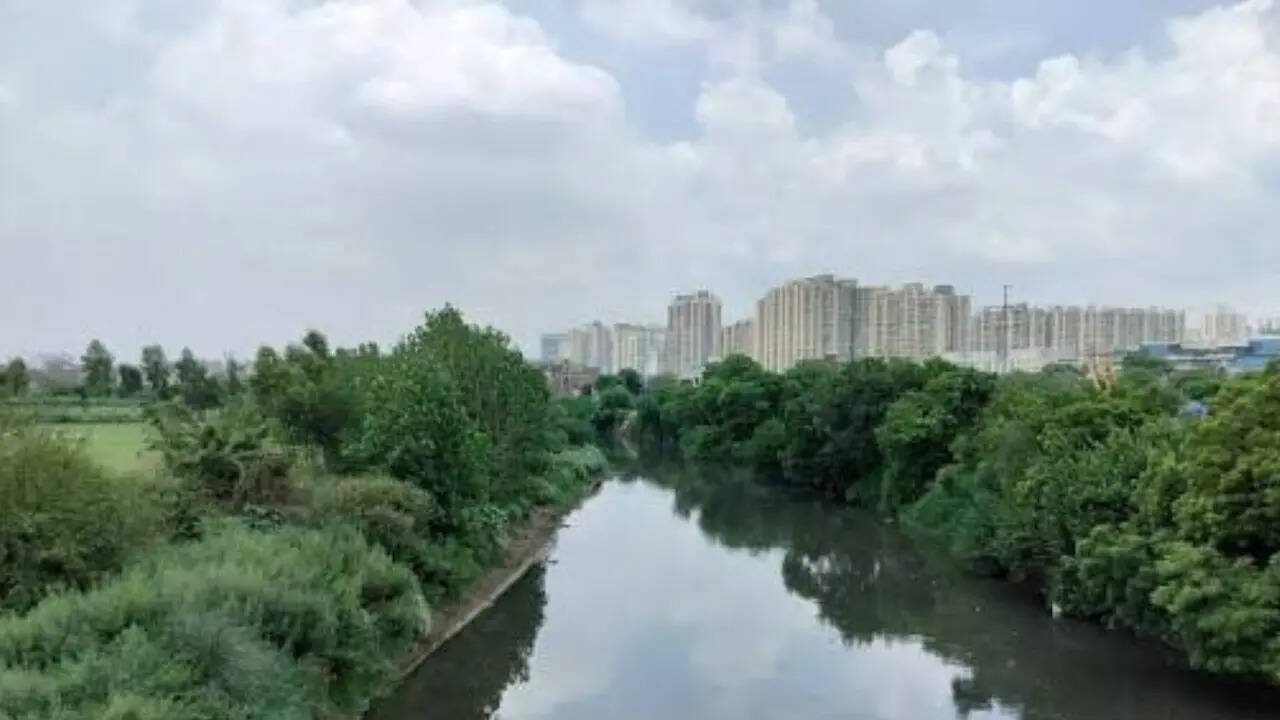 The lifelines that shape the National Capital Region