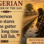 Nigerian proverb of the day: "A person who stares at the gutter for a long time will kill fish" and a lesson in patience, persistence and reward | World News