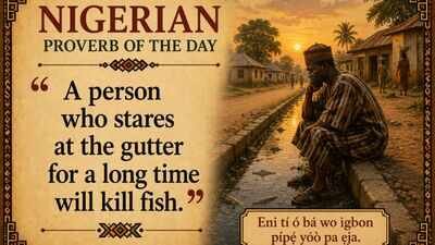 Nigerian proverb of the day: "A person who stares at the gutter for a long time will kill fish" and a lesson in patience, persistence and reward | World News