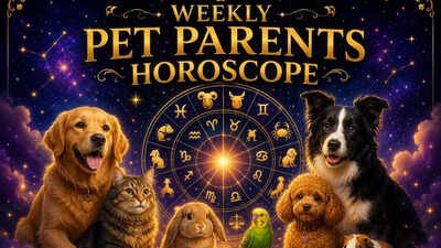 Weekly Pet Parents Horoscope, June 14 to June 20, 2026: What the stars say about your bond with your pets