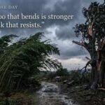 Proverb of the day: "The bamboo that bends is stronger than…": why flexibility often beats brute strength |