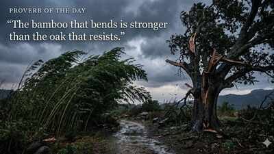 Proverb of the day: "The bamboo that bends is stronger than…": why flexibility often beats brute strength |