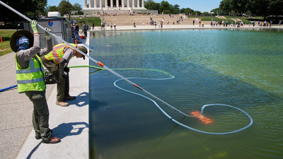 '250-ft gash, poured chemicals': Donald Trump claims vandals damaged Reflecting Pool