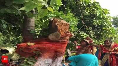 When is Vat Purnima 2026? Check date, time and significance of Jyeshtha Purnima