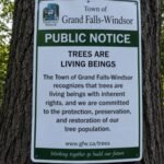 Why a Canadian town has officially recognised trees as living beings with rights
