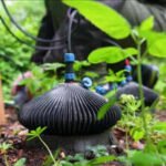 Your garden could become a power station: How a UK startup is generating electricity from soil bacteria
